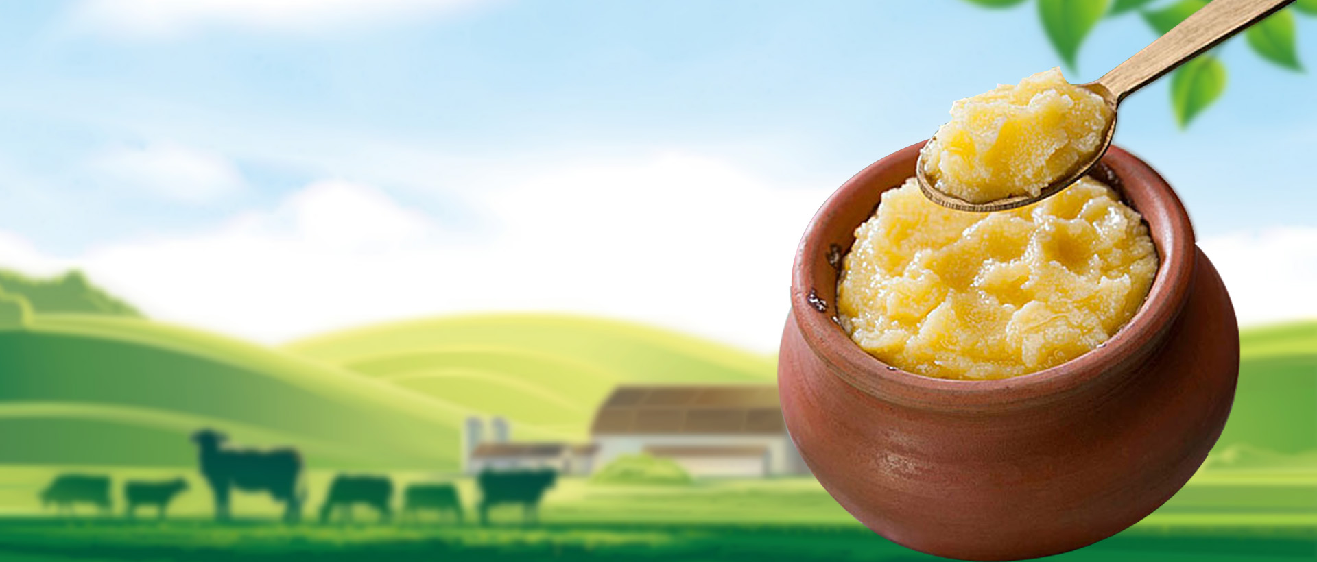 Desi ghee Manufacturer in bathinda