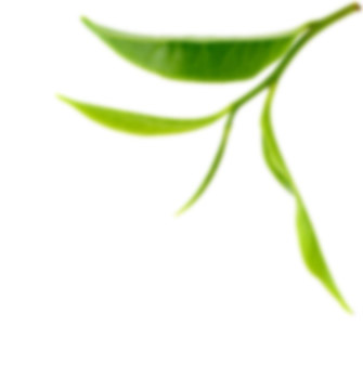 Pure Desi ghee Supplier 